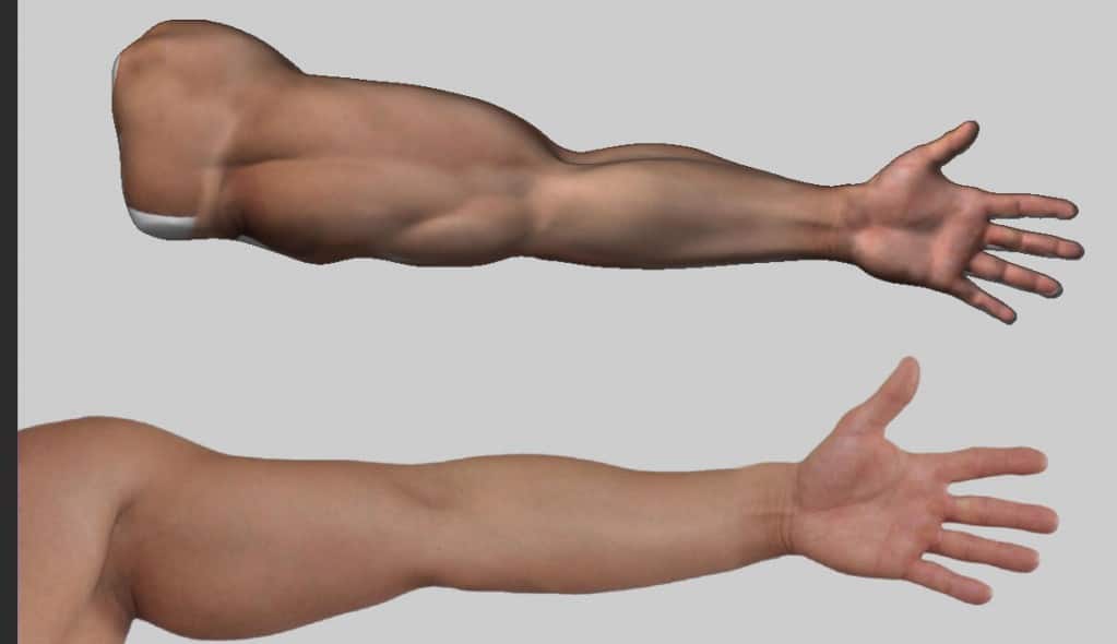 Los músculos del brazo son duros o blandos? 