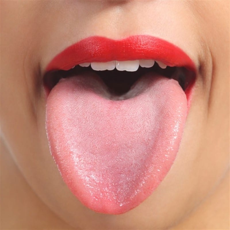 Músculos de la lengua
