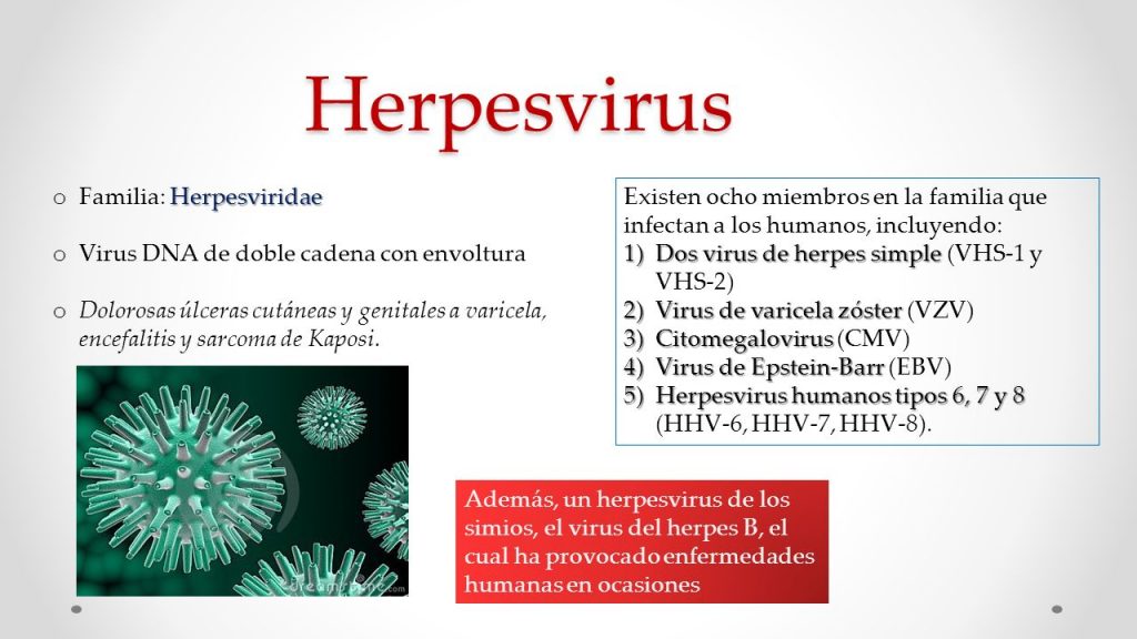 prevencion del herpes